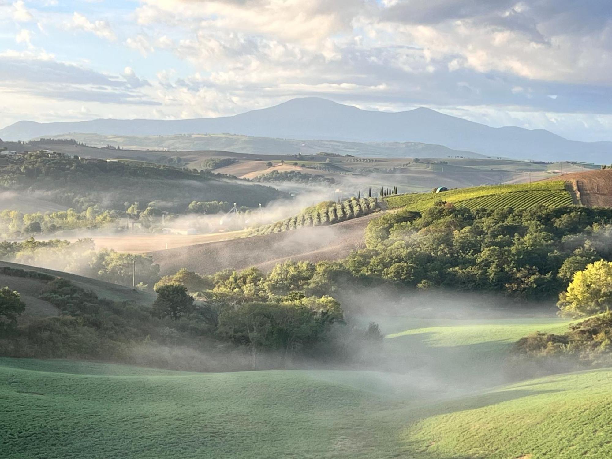 Agriturismo Monsole - Montalcino Ngoại thất bức ảnh